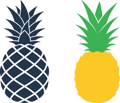Vector pineapple illustrations pineapple black and white vs colorful tropical fruit