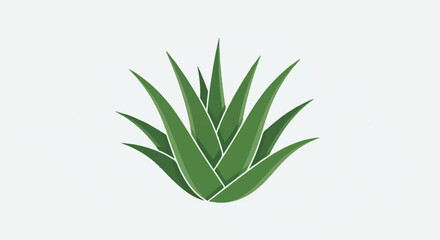 Obraz premium Stylized illustration of a green succulent plant with pointed leaves