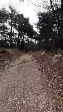 Timewarp walking POV while hiking on a mountain trail. The video was shot on Mount Soprasasso, known as Sorasass in dialect, above the city of Trento, in Trentino, Northern Italy