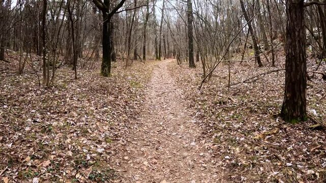 Walking POV while hiking on a mountain trail. The video was shot on Mount Soprasasso, known as Sorasass in dialect, above the city of Trento, in Trentino, Northern Italy, during an early spring day