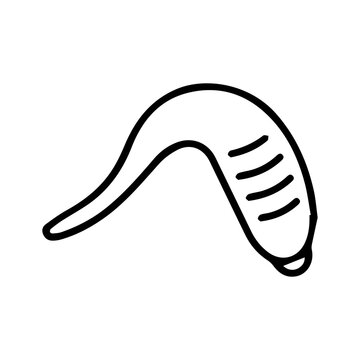 Leech Line Art Icon