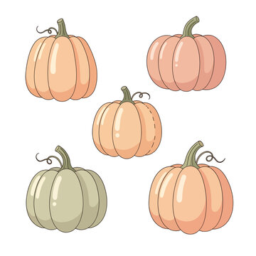 Five Orange and Green Pumpkins Illustration.