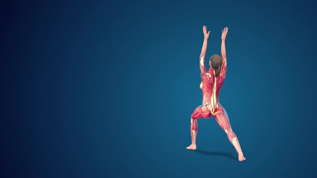 3D human Virabhadrasana I Variation extended warrior I yoga pose on blue background, loopable