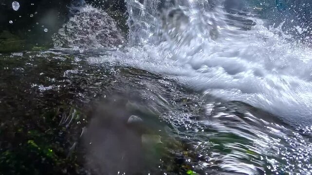 Flow of falling water over stones covered with macroalgal macrophytes in the Black Sea