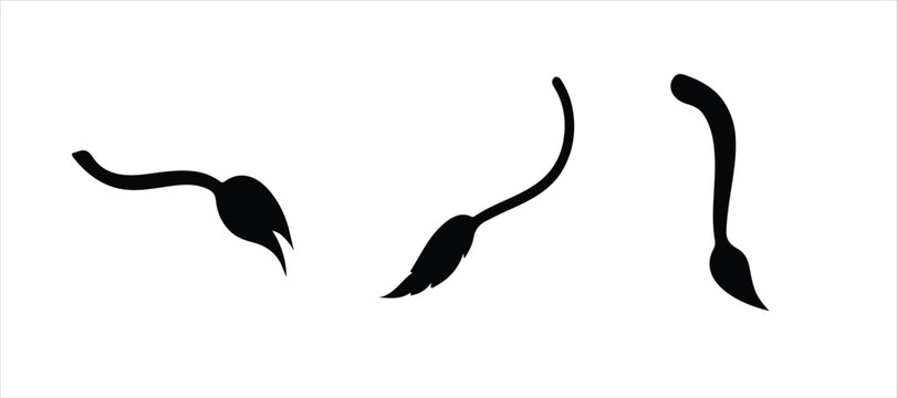 tail icon set silhouette vector hand drawn illustration on white background.