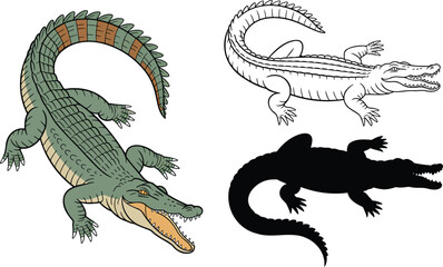 Fototapeta premium Crocodile silhouette & Outline and illustration set isolated on transparent background