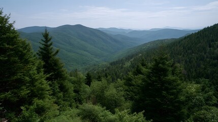 Fototapeta premium A vast serene panoramic vista of lush green mountain ranges covered in dense forests under a clear pale sky
