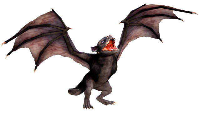 3D Rendering Giant Bat on White