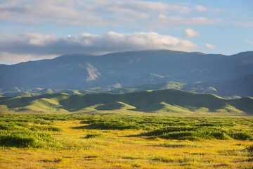 Obraz premium Green hills