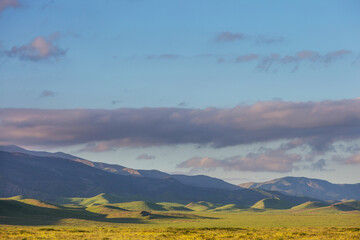 Obraz premium Green hills