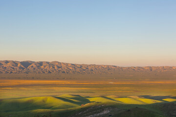 Obraz premium Green hills