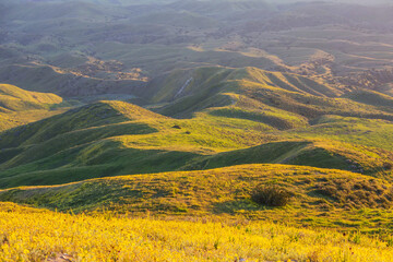 Obraz premium Green hills