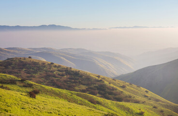 Obraz premium Green hills