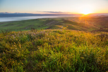 Obraz premium Sunny meadow