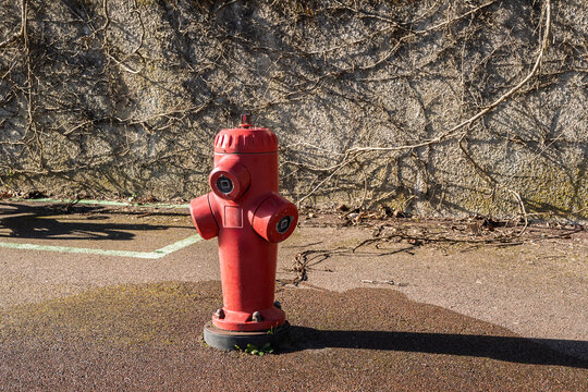 Red French fire hydrant, bouche incendie, standing on a sidewalk by a wall with bare vines, photographed outdoors in daylight and highlighting urban fire prevention infrastructure in France.