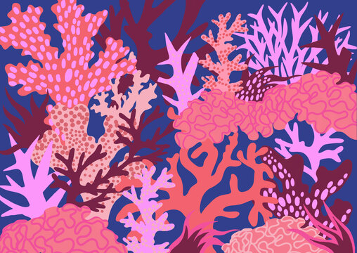 Red and Pink Coral Wallpaper Featuring Abstract Coral in Red Tones on Blue Background

