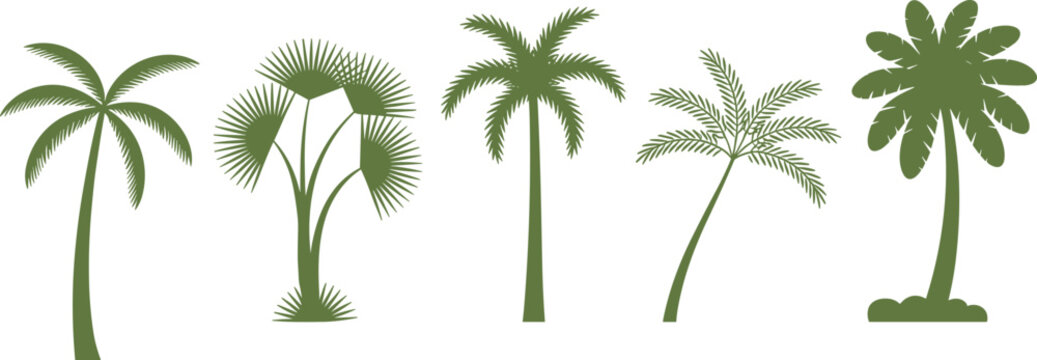 Collection of tropical palm tree silhouettes including coconut fan and date palms for summer vacation travel branding beach resort promotion and exotic nature landscape vector illustration design.