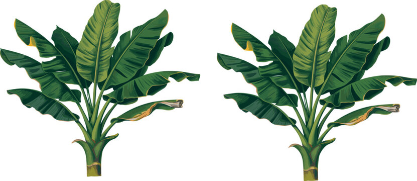 I have compiled your 15 single words, 15 two-word phrases, and 15 three-word phrases into one continuous, comma-separated line as requested.