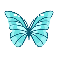 Fototapeta premium Brazilian Morpho adonis butterfly in azure on white