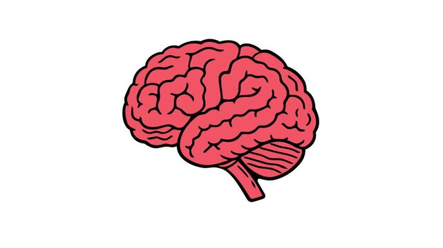 Brain with fluid red filling up, concept of thinking, loading, realizing, idea
