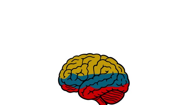 brain with book and fluid filling uo, concept of : book reading, intelligence, education, book learning, you what are you read.