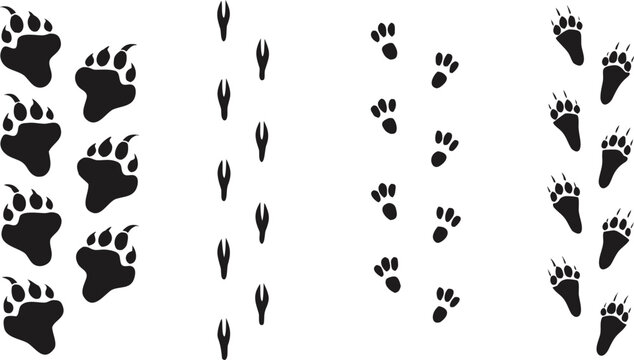 Black animal footprints of bear deer rabbit and fox animal tracks bear paw prints