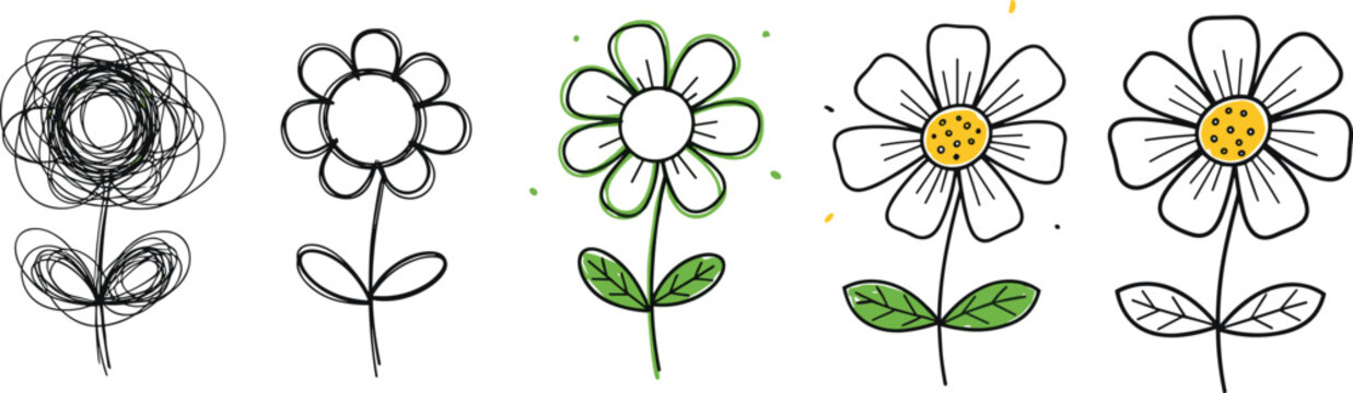 Flower Drawing Process Vector Illustration Showing Sketch to Final Colored Daisy Design with Step by Step Creative Art Transformation