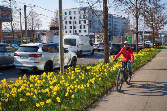 Middle aged woman riding an e-bike on a safe bike path lined with blooming daffodils during spring rush hour in Stuttgart, Germany, with urban traffic and sustainable commuting concept.