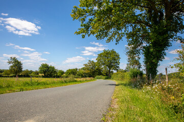 Fototapeta premium Route de campagne au milieu des champs au printemps en France.