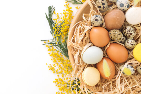 Overhead view of a rustic Easter bird's nest with assorted chicken and quail eggs, macarons and yellow mimosa flowers on a white background