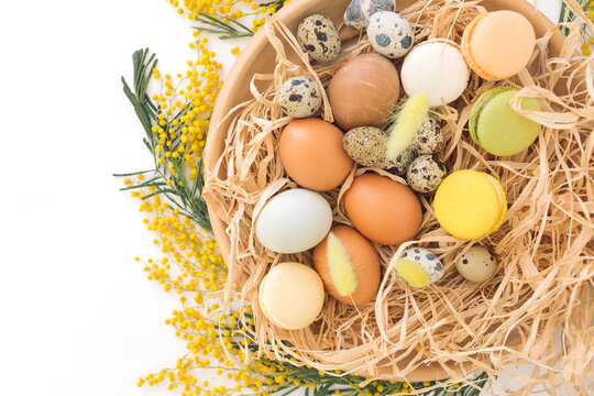 Overhead view of a rustic Easter bird's nest with assorted chicken and quail eggs, macarons and yellow mimosa flowers on a white background