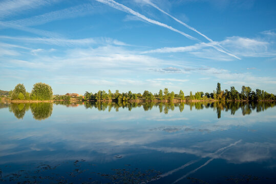 View across Lac Balat-David of a waterfront forest and its reflection, Montauban, Tarn-et-Garonne, France