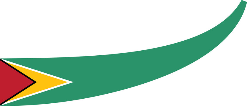 guyana flag