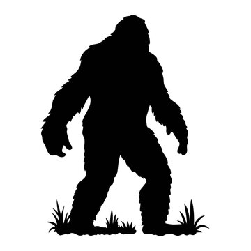 Bigfoot silhouette vector illustration: sasquatch walking through grass, cryptozoology legend art