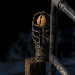 A weathered, orange buoy is encased in a rusty metal cage, with a dark, blurred background. © Ray