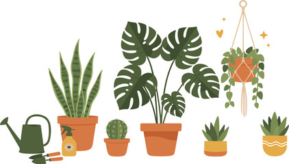 Collection of potted houseplants and gardening tools for indoor plant care. © Jhuma Begum