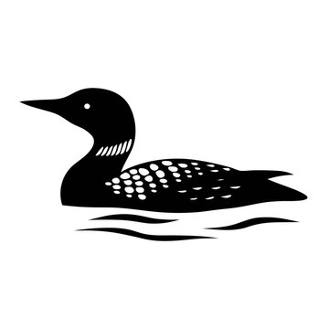 Isolated black loon vector illustration graphic of swimming bird wildlife design element art print