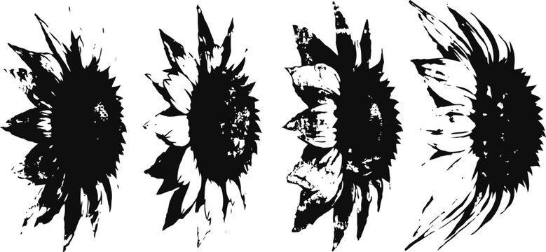 black sunflower silhouettes with textured grunge effect in various side view poses, vintage floral botanical art