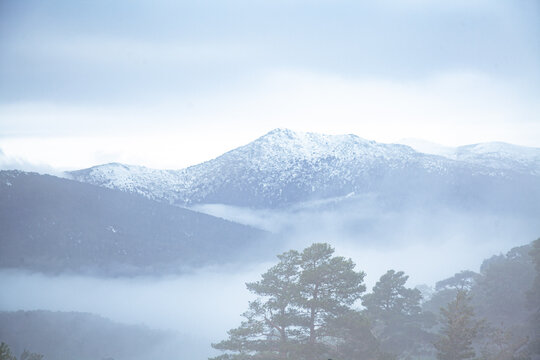 Monta&ntilde;as nevadas azules arboles bruma