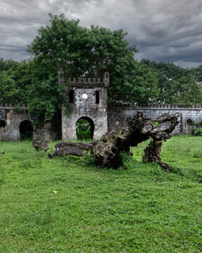 View of a ruined stone fortification overgrown with lush trees and a gnarled fallen trunk in the foreground under a cloudy sky in Sao Tome and Principe.