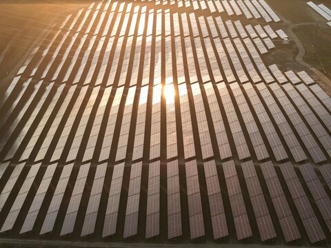 Aerial view of rows of solar panels reflecting the golden sunset light across the Tye Lane Solar Farm, Ipswich, United Kingdom.