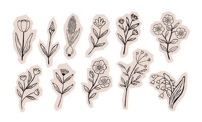 Hand drawn wildflower cutout sticker set. Doodle blossom flowers vector illustration for scarpbook