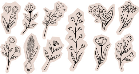 Simple hand drawn wildflower stickers collection. Doodle floral elements vector illustration for scarpbook