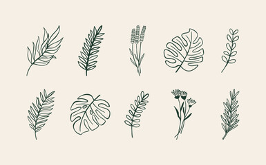 Hand drawn botanical set with monstera, lavender, rosemary, leaves and herbs vector illustration. Floral doodle icon