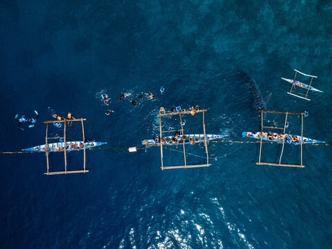 Aerial view of outrigger boats gliding across the deep blue sea, contrasting with the light wooden frames and the small figures of people aboard, Oslob, Cebu, Philippines.