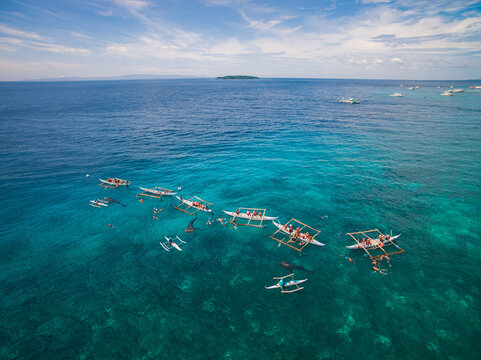 Aerial view of boats scattered on the turquoise ocean, with divers swimming in the clear waters near the boats, Oslob, Cebu, Philippines.