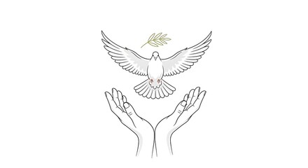 Fototapeta premium Hands releasing dove with olive branch symbolizing peace