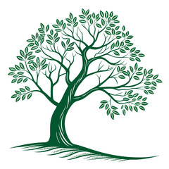 Obraz premium A green tree with many branches and leaves