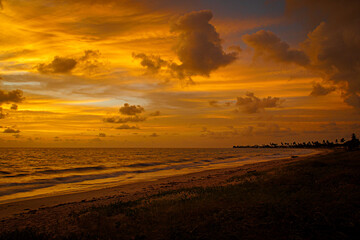 Fototapeta premium Golden sunset over ocean coastline with dramatic clouds and distant palm silhouettes