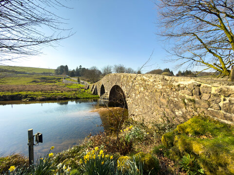 Dartmoor Devon England UK. 20.03.2026. Springtime at Two Bridges  on Dartmoor along the West Dart river  with spring flowers on the riverbank.